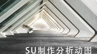 SU制作GIF动态分析图