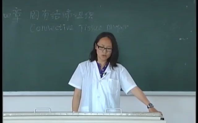 03.第2章固有结缔组织(一)哔哩哔哩bilibili