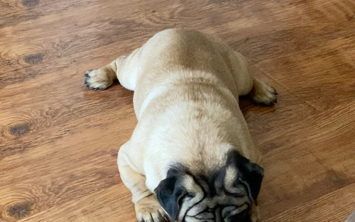 在千篇一律的巴扎黑里只能靠劈叉来增加点辨识度