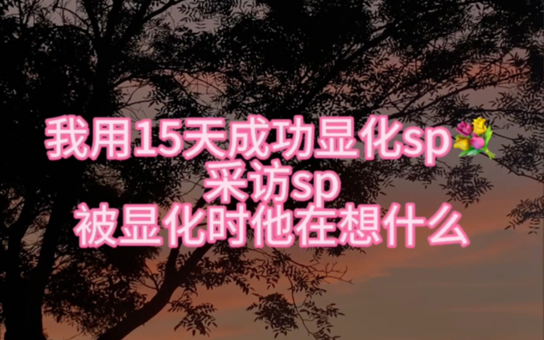 【显化sp经验分享】采访我的sp——在被显化时sp在想什么?哔哩哔哩bilibili