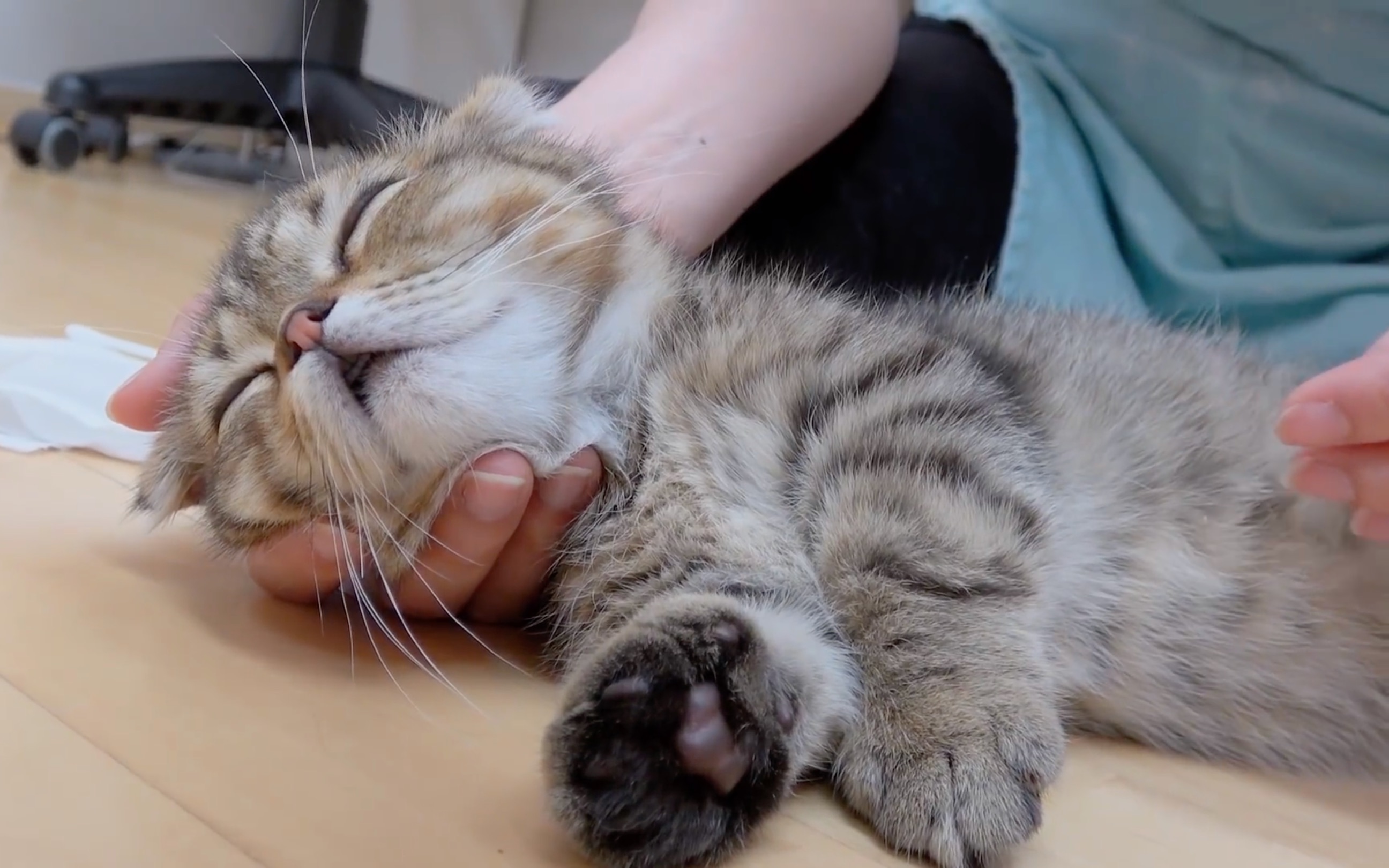 【creamheroes】吸一口小奶猫时期的lulu