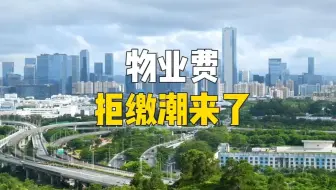 深圳的有钱人，已经交不起物业费了