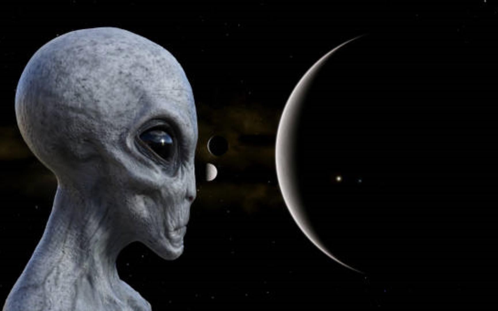 深度解读【高灰人】