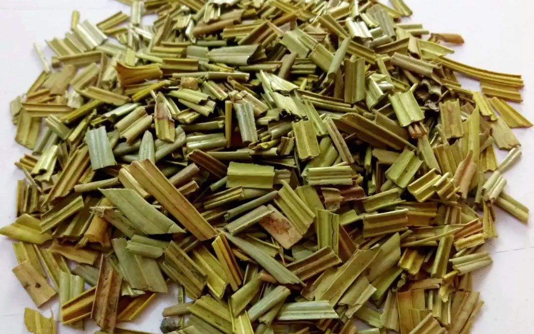 肝病常用三种中草药