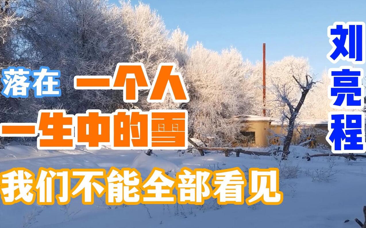 作者朗读《寒风吹彻》：落在一个人一生中的雪，我们不能全部看见