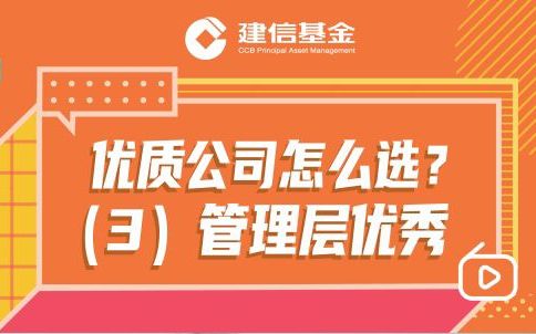 【建信基金】基金经理王东杰教你优质公司怎么选(3)哔哩哔哩bilibili