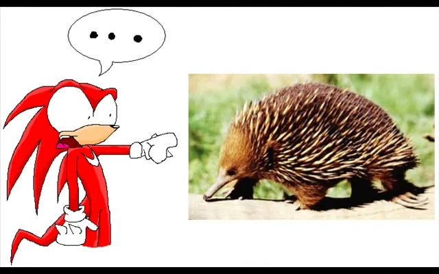 疯狂动漫lightsen:刺猬人动画形象是如何诞生的?