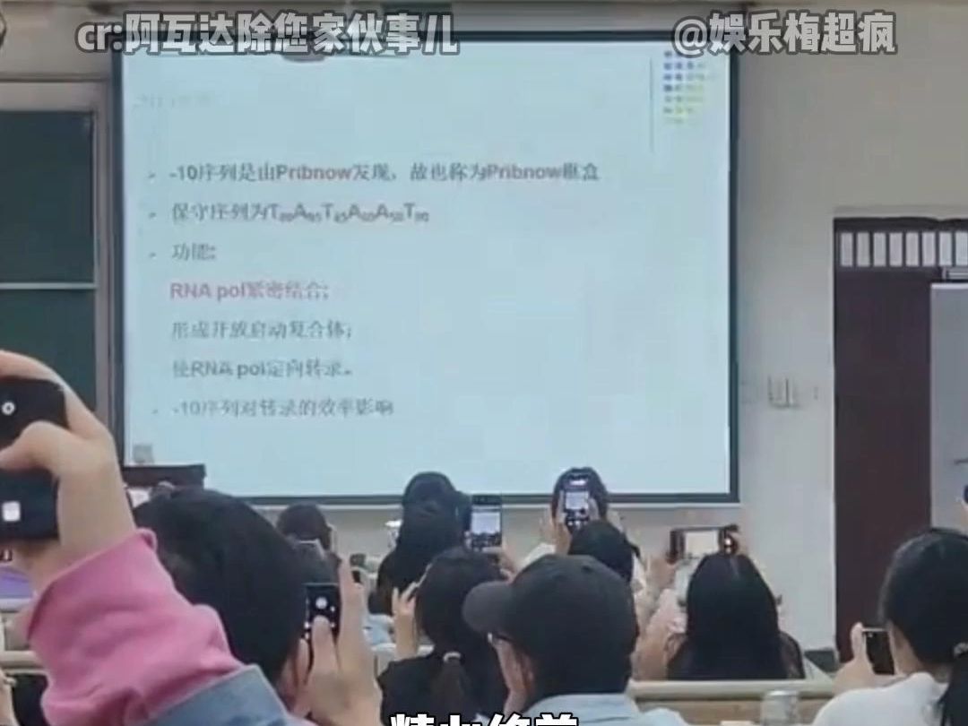 期末大学生新人设 ;学术站姐,主打一个拍照哔哩哔哩bilibili