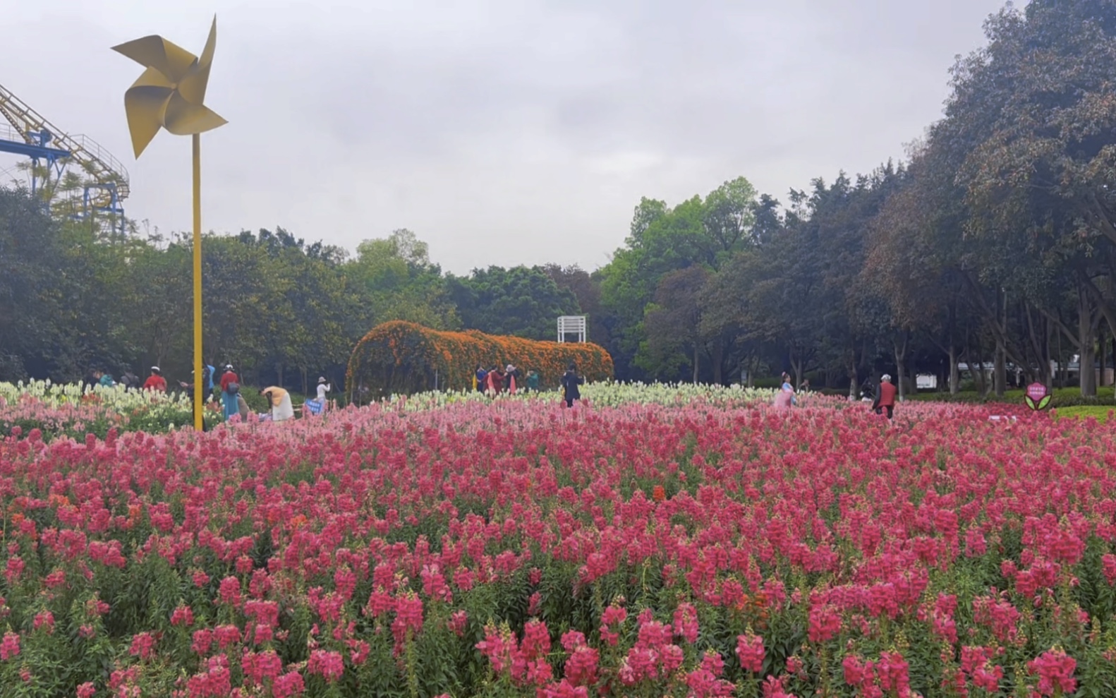 【广西科技大学70期】去柳州雀儿山公园找春天哔哩哔哩bilibili