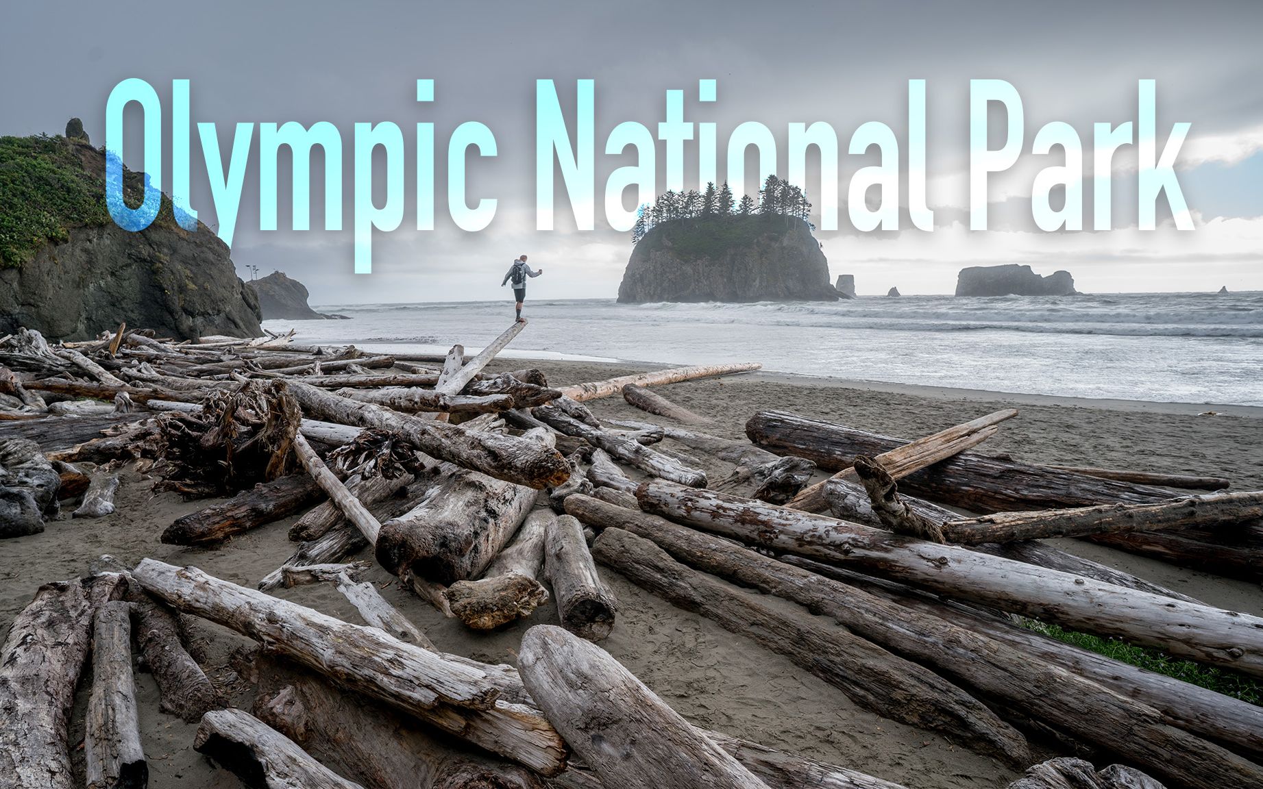 [图]从中国最容易到达的美国国家公园——奥林匹克国家公园深度游攻略（Olympic National Park）（西雅图附近的明珠：雪山、湖区、雨林、海滩）