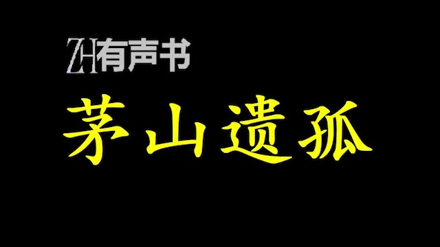 茅山遗孤【点播有声书】一把桃木剑,一个罗盘,一把朱砂,斗恶鬼,捉僵尸,茅山遗孤,修炼传承道法,在走风云江湖.合集哔哩哔哩bilibili