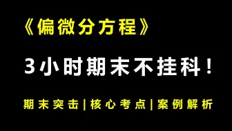 《偏微分方程》3小时期末速成课！期末速成丨考前突击丨期末不挂科丨考点总结