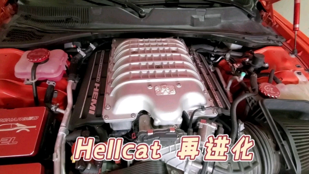 Hellcat再进化哔哩哔哩bilibili