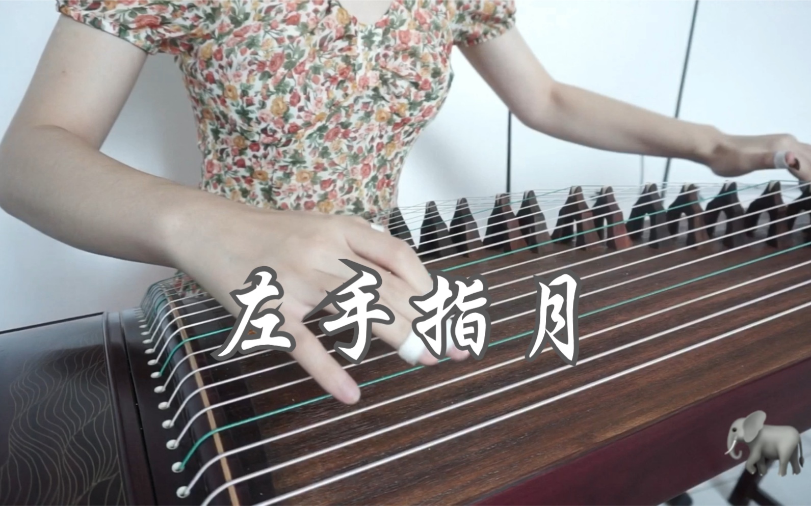 古筝(纯筝)|左手指月|崔江卉老师改编版