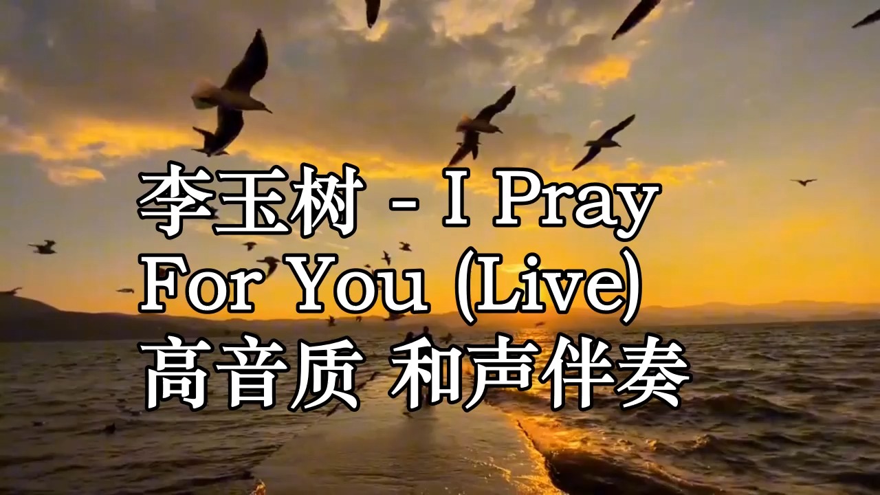 李玉树  I Pray For You (Live) 高音质 和声伴奏哔哩哔哩bilibili