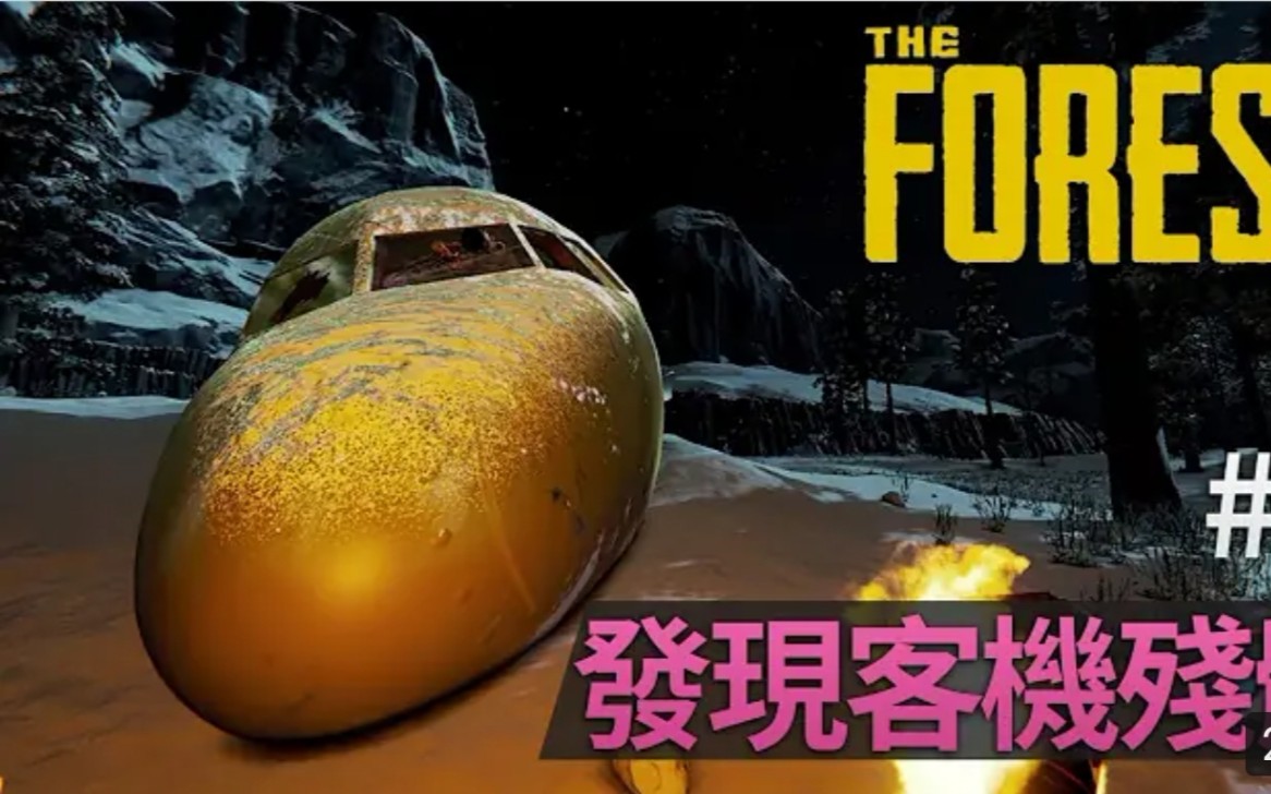 [图]#9 發現客機殘骸 The Forest (陰森)