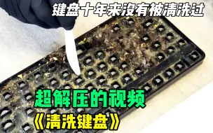 下载视频: 小帅的键盘十年来没有被清洗过，看完清洗过程后极度解压舒适！