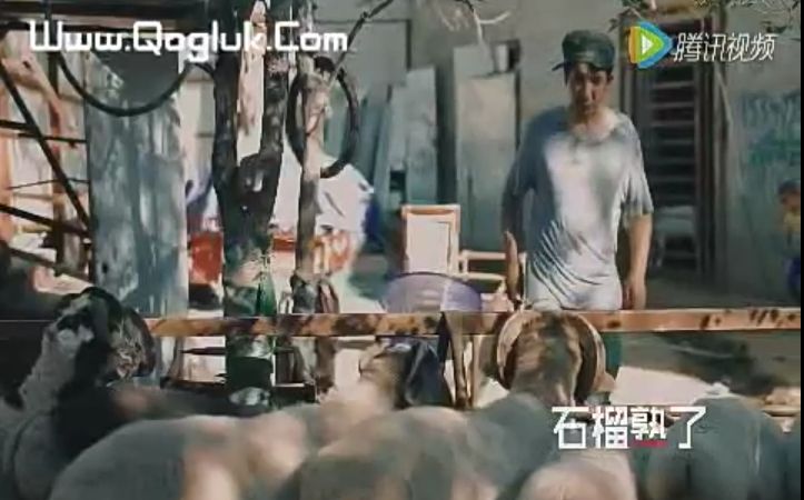 逗比主人,成精的羊哔哩哔哩bilibili