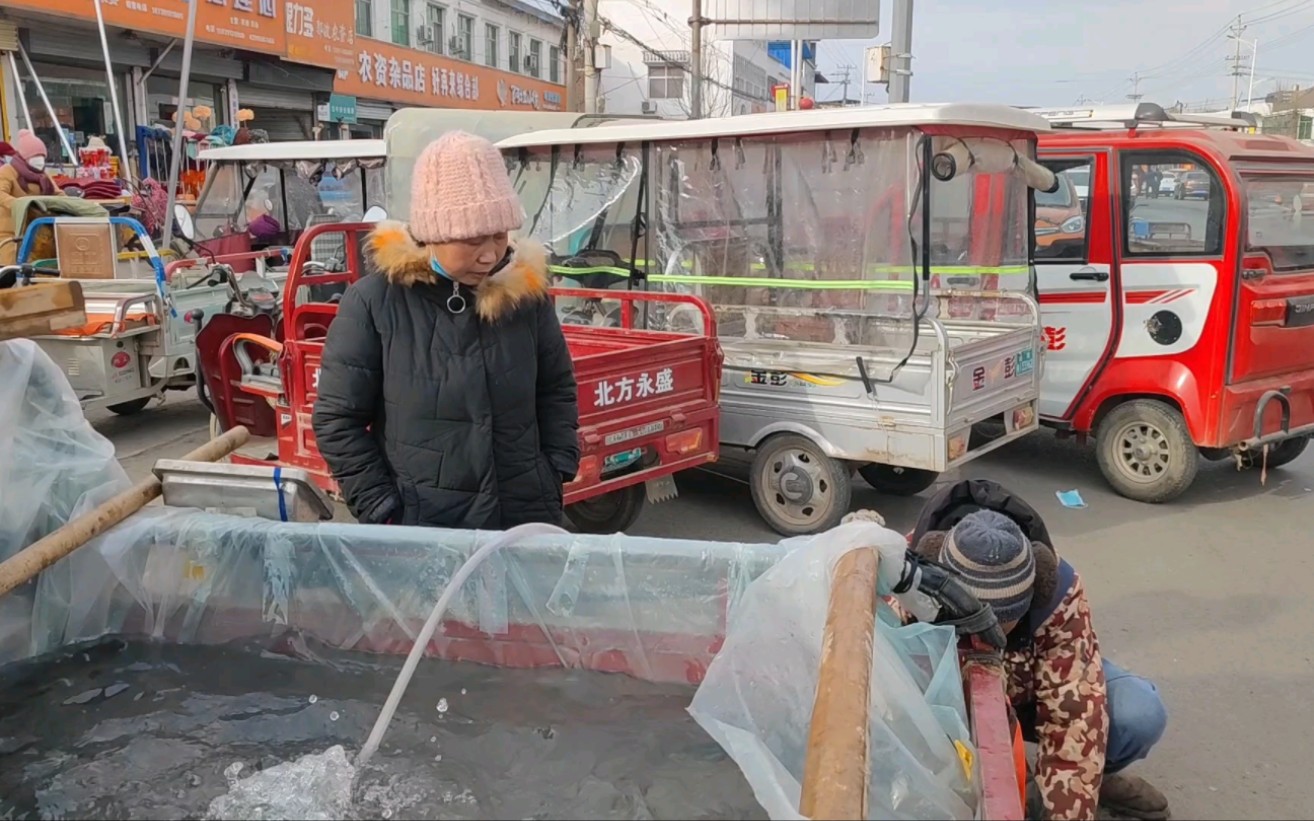 小董和老妈去镇上赶集买年货,好久没见这么热闹的集市,年味十足哔哩哔哩bilibili