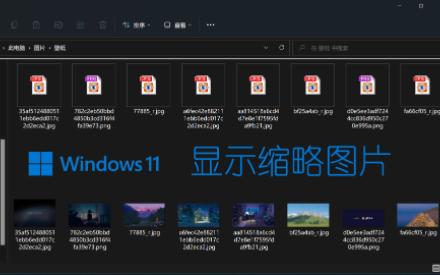 win11显示图片缩略图 教程哔哩哔哩bilibili