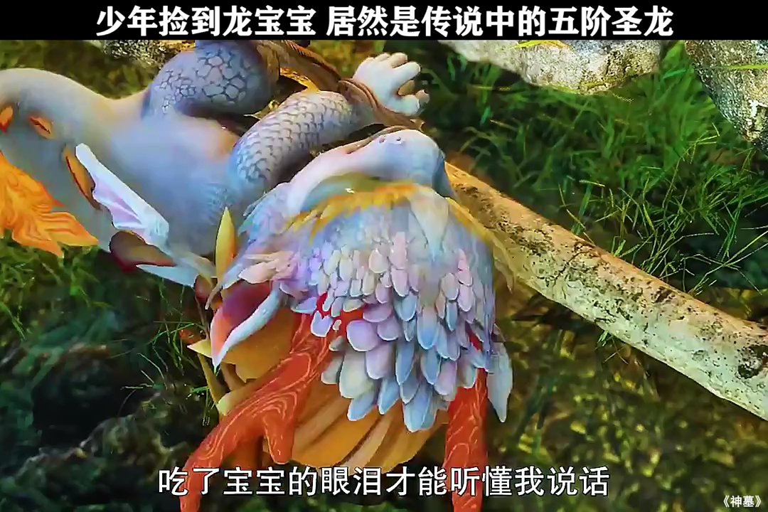 少年捡到龙宝宝 居然是传说中的五阶圣龙 神墓