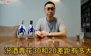 汾酒青花30和20差距有多大