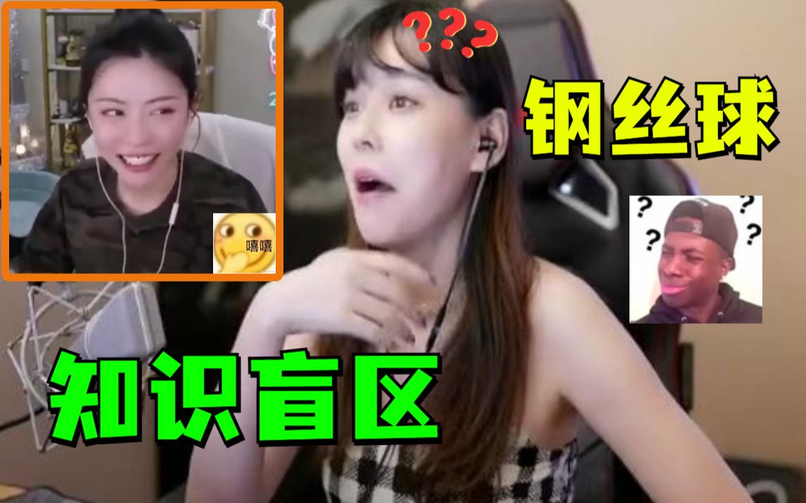 终于有沫子不懂的了,周淑怡:富婆快乐钢丝球你不知道?哔哩哔哩bilibili绝地求生