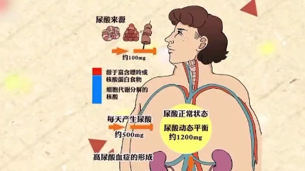 三高高尿酸高血脂高血压的危害哔哩哔哩bilibili