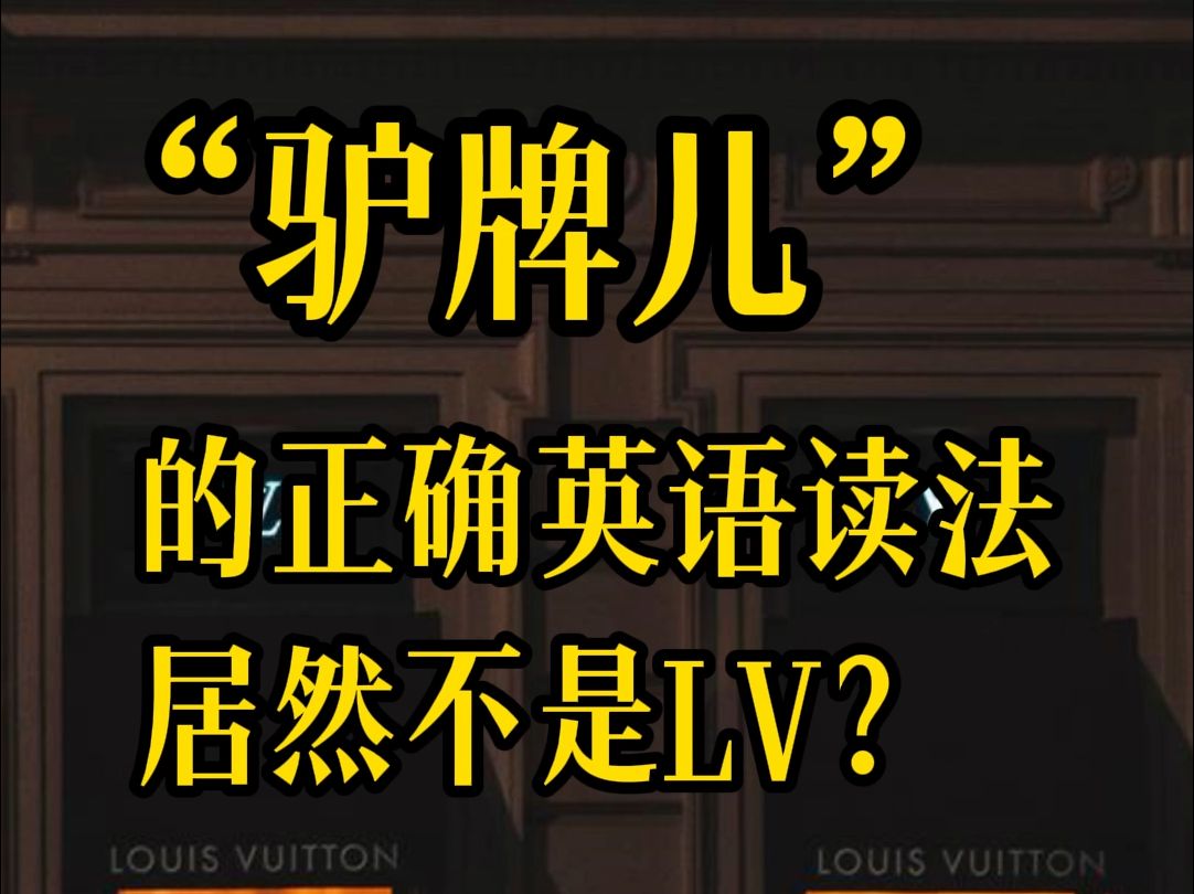 一直读错了?“驴牌儿”LV的正确读法居然不是LV?哔哩哔哩bilibili