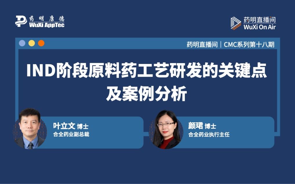 CMC系列(十八):IND阶段原料药工艺研发的关键点及案例分析哔哩哔哩bilibili