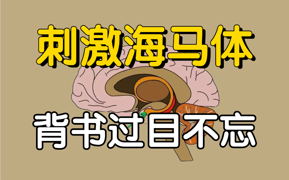 [图]长期摆烂后，如何快速恢复300%学习状态！超强海马体记忆法，原来5h可以当24小时学，太爽了！某易云付费记忆教程 我用记忆宫殿+费曼学习法背完整本书的黑科技分享