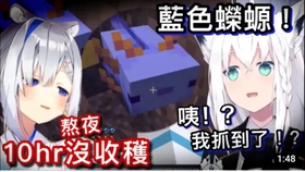 Hololive原创曲 完整版 熟 百花繚乱花吹雪 白上吹雪大神澪百鬼绫目 哔哩哔哩 つロ干杯 Bilibili