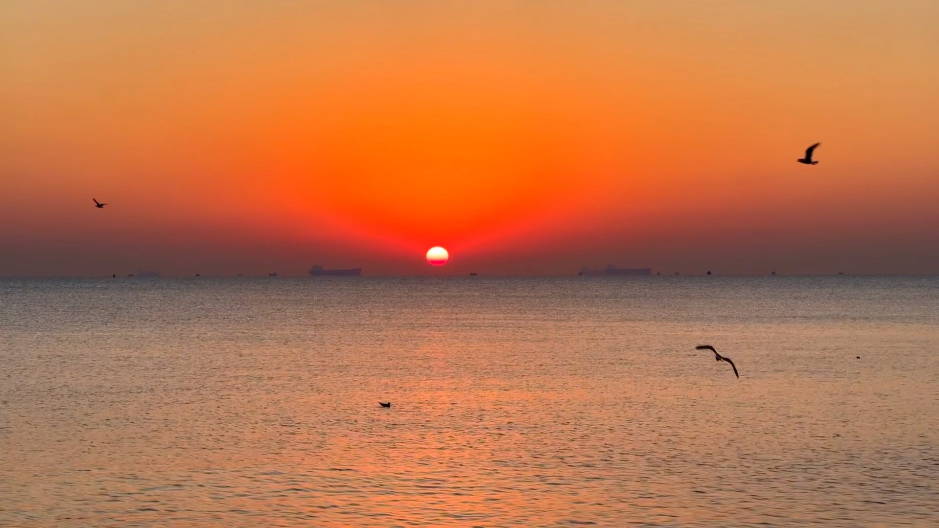 海边日出图片 真实图片