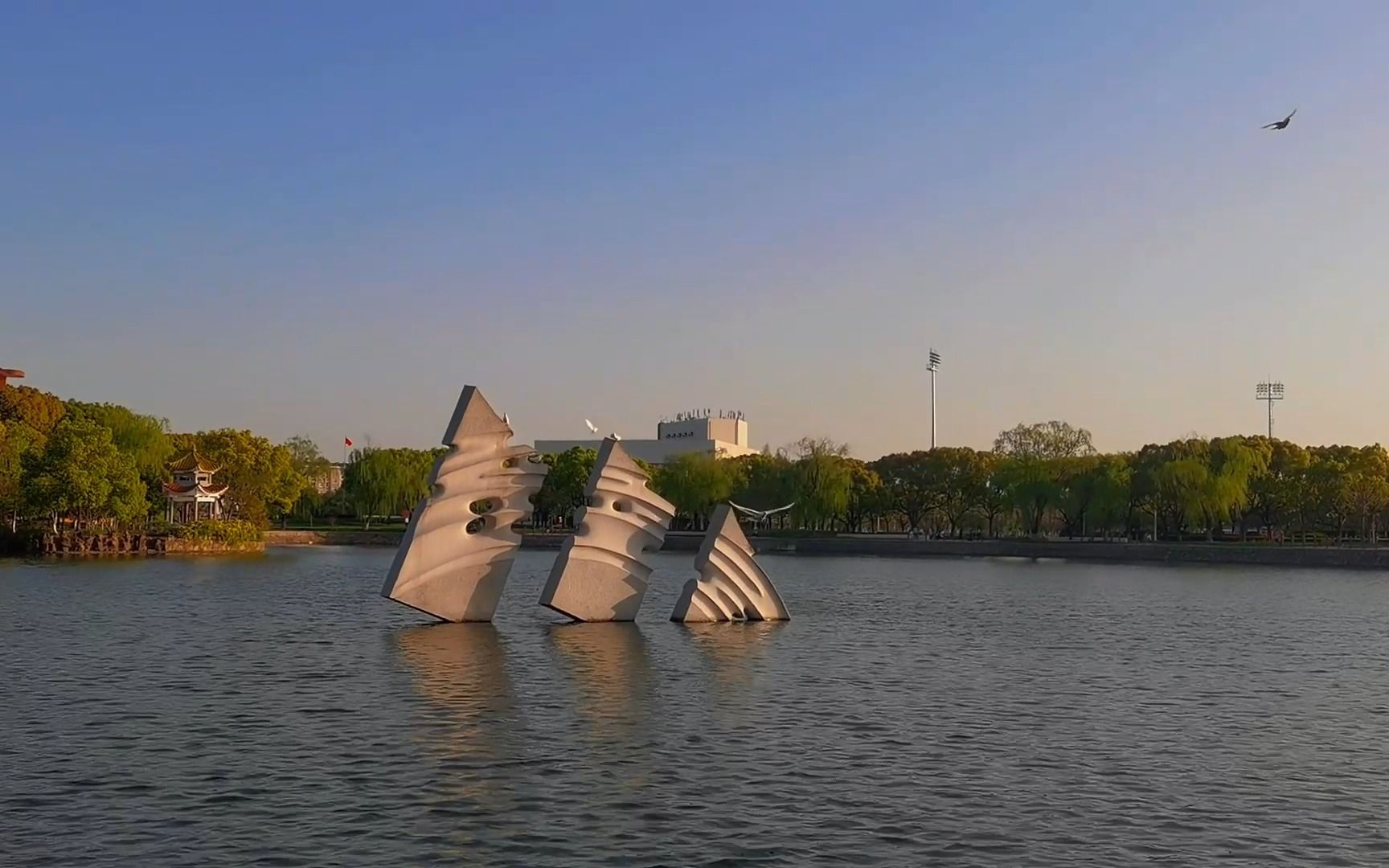 4月10日 交大思源湖 鸽子