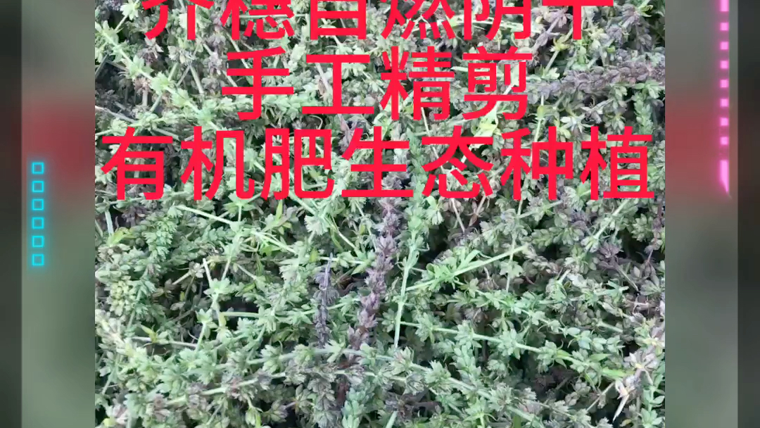 芥穗精剪哔哩哔哩bilibili