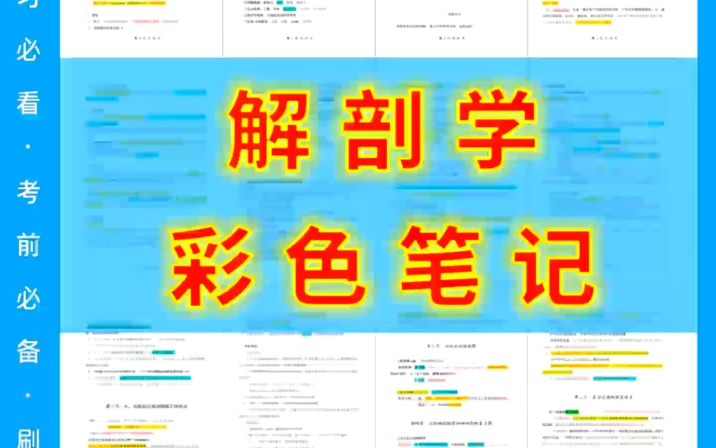 系统解剖学 重点笔记知识点总结【彩色笔记】BYSA哔哩哔哩bilibili