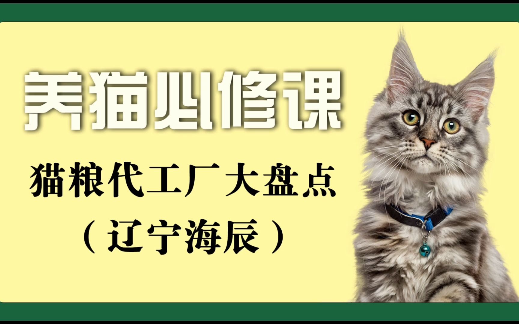 养猫必修课——猫粮代工厂大盘点——辽宁海辰哔哩哔哩bilibili