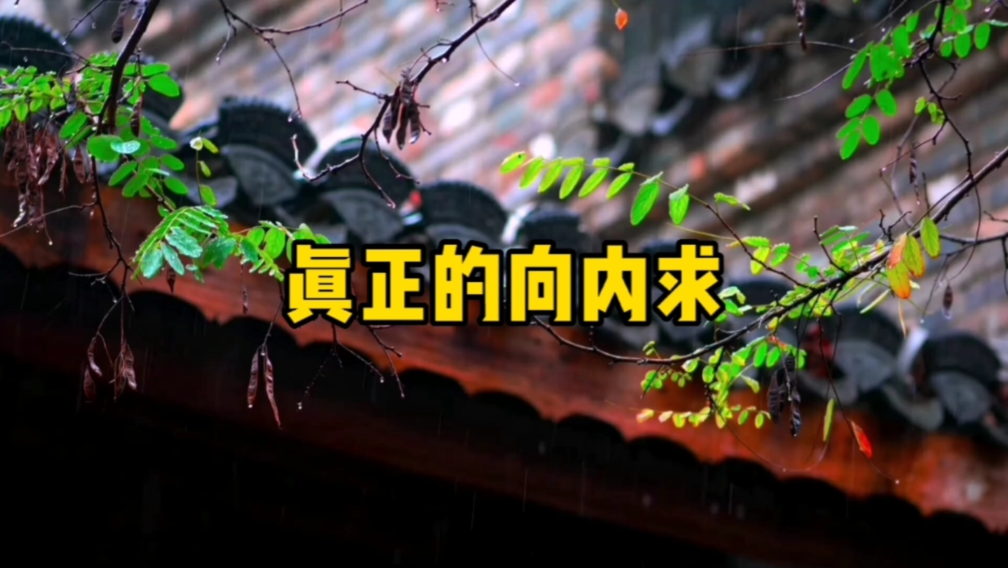 向内求的人必定能看清一切事物的本质,回归内心!