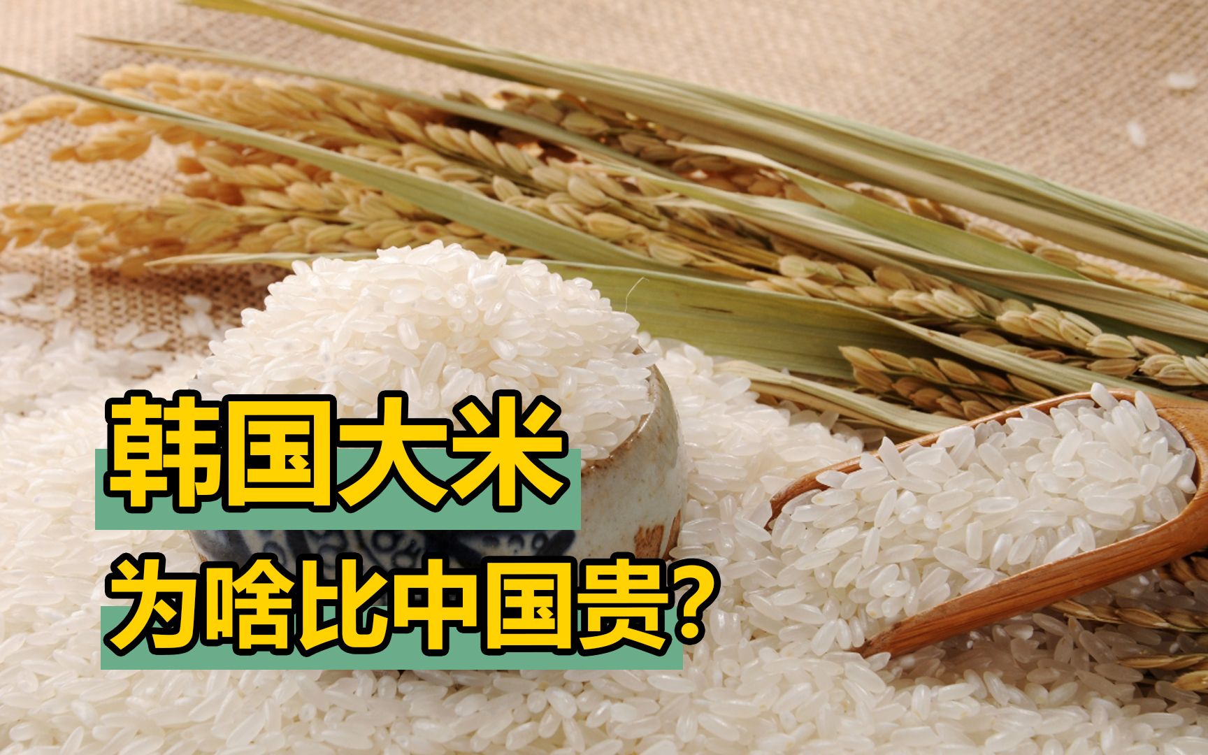 背大米去韩国,一趟能赚1000多?粮食水客把飞机货架压塌了