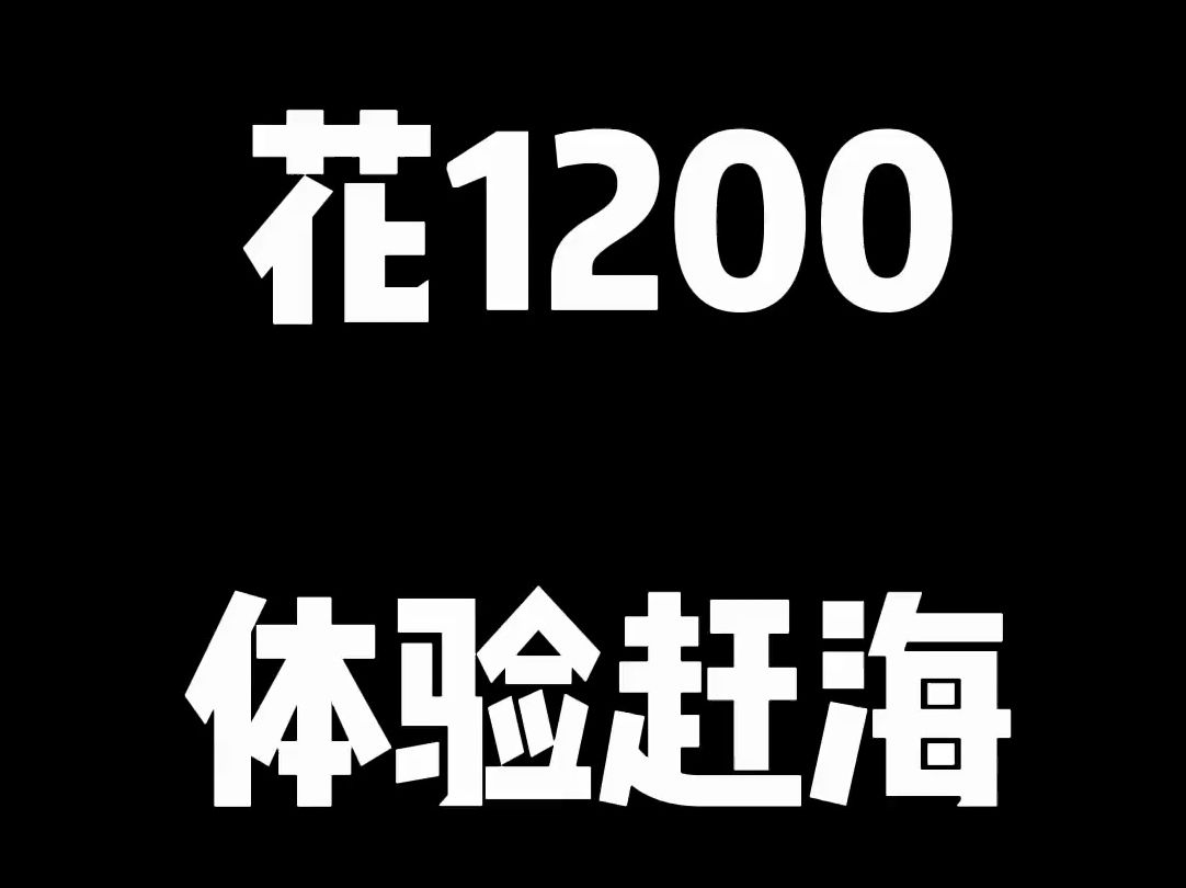 花1200园区抓海鲜 抓了整整一大桶#户外赶海抓海鲜哔哩哔哩bilibili