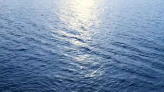 微课视频 (氯气的氧化性--基于证据推理的视角)