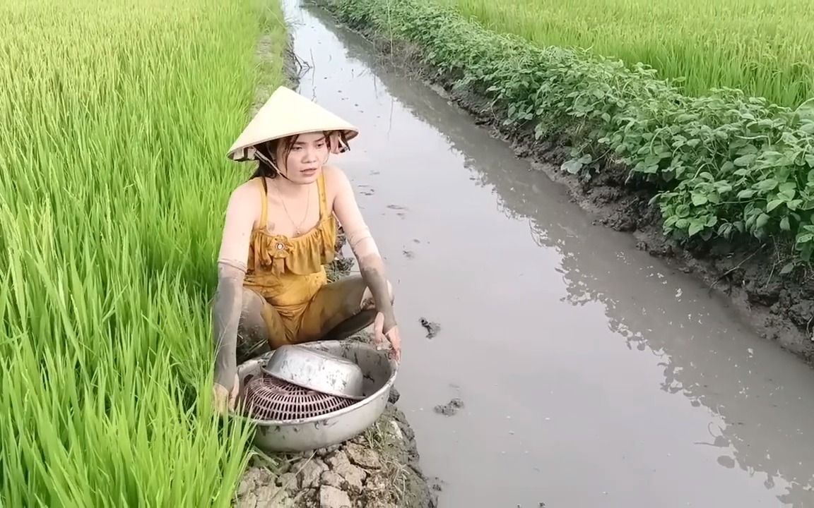 越南小妹去水田里捉鱼,又大又滑的鱼真难捉_0003