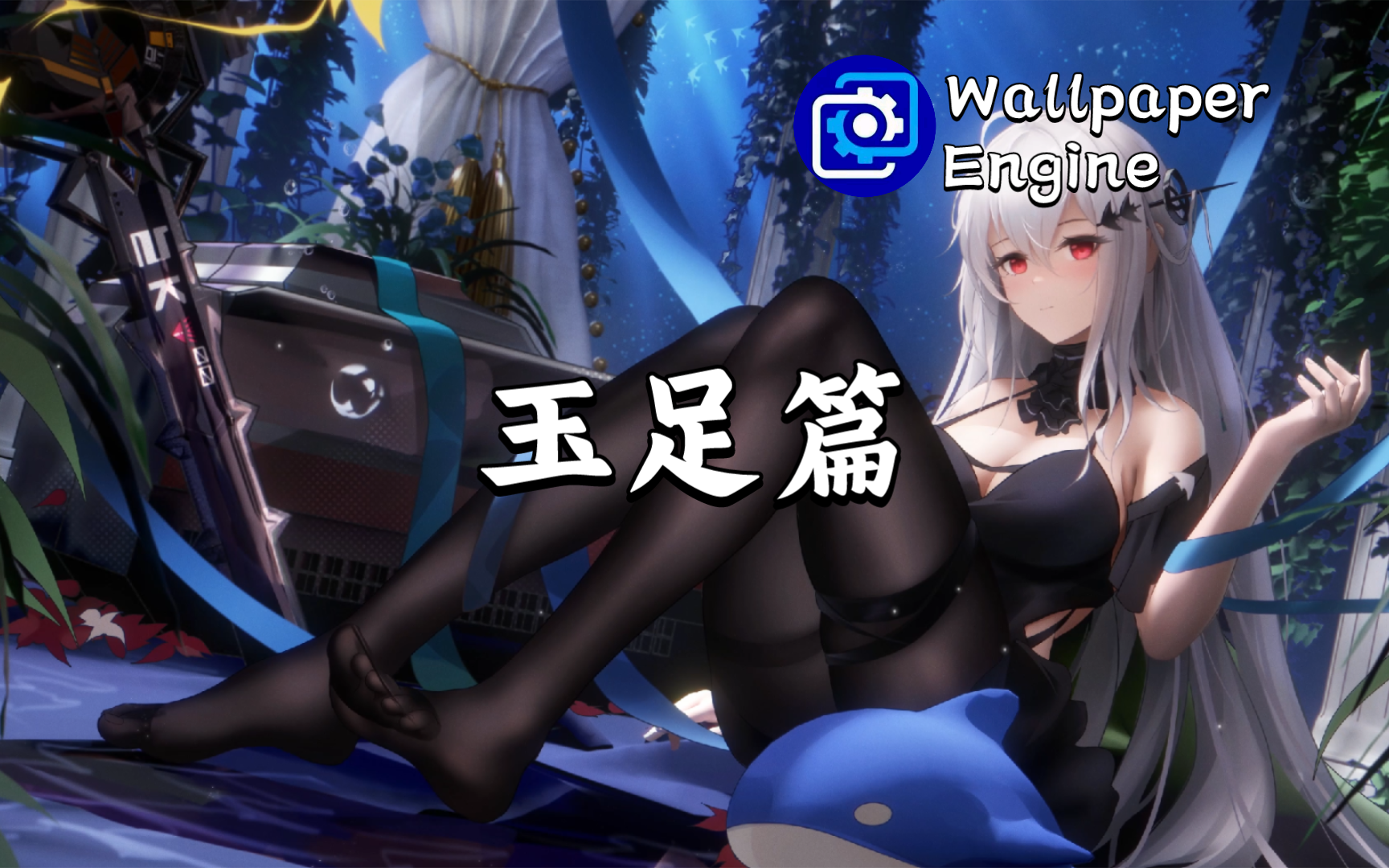 【Wallpaper Engine】壁纸推荐 玉足篇哔哩哔哩bilibili