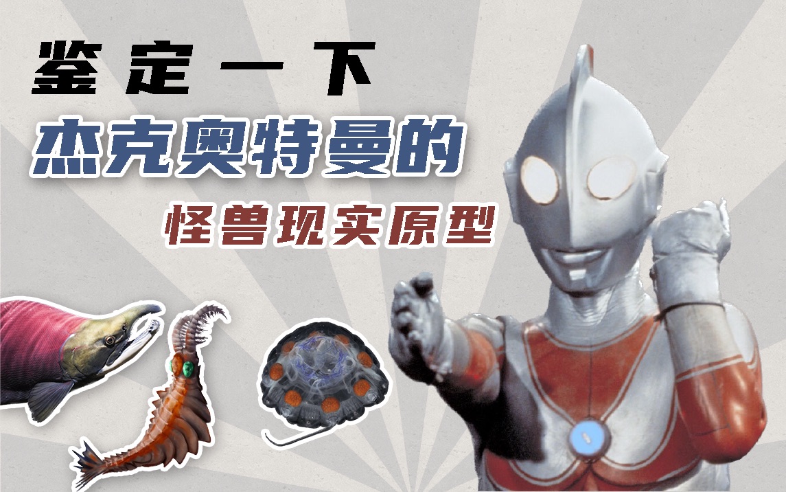 用生物学来看奥特曼? 鉴定一下杰克奥特曼里的水生怪兽原型!-爱养鱼的卓林-爱养鱼的卓林-哔哩哔哩视频