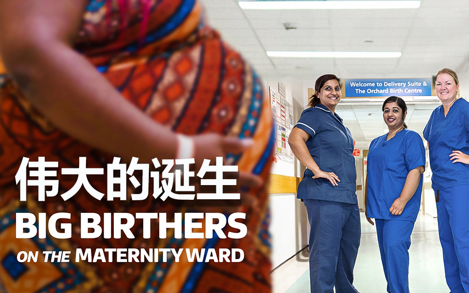 伟大的诞生 B站