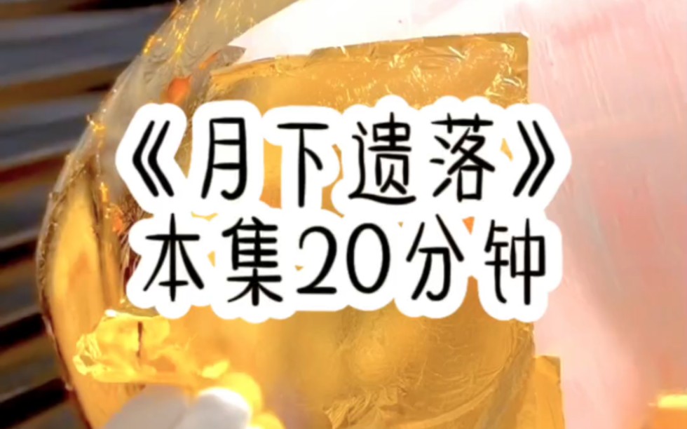 《月下遗落》本集二十分钟,全文免费阅读,甜宠/爽文/双洁哔哩哔哩bilibili