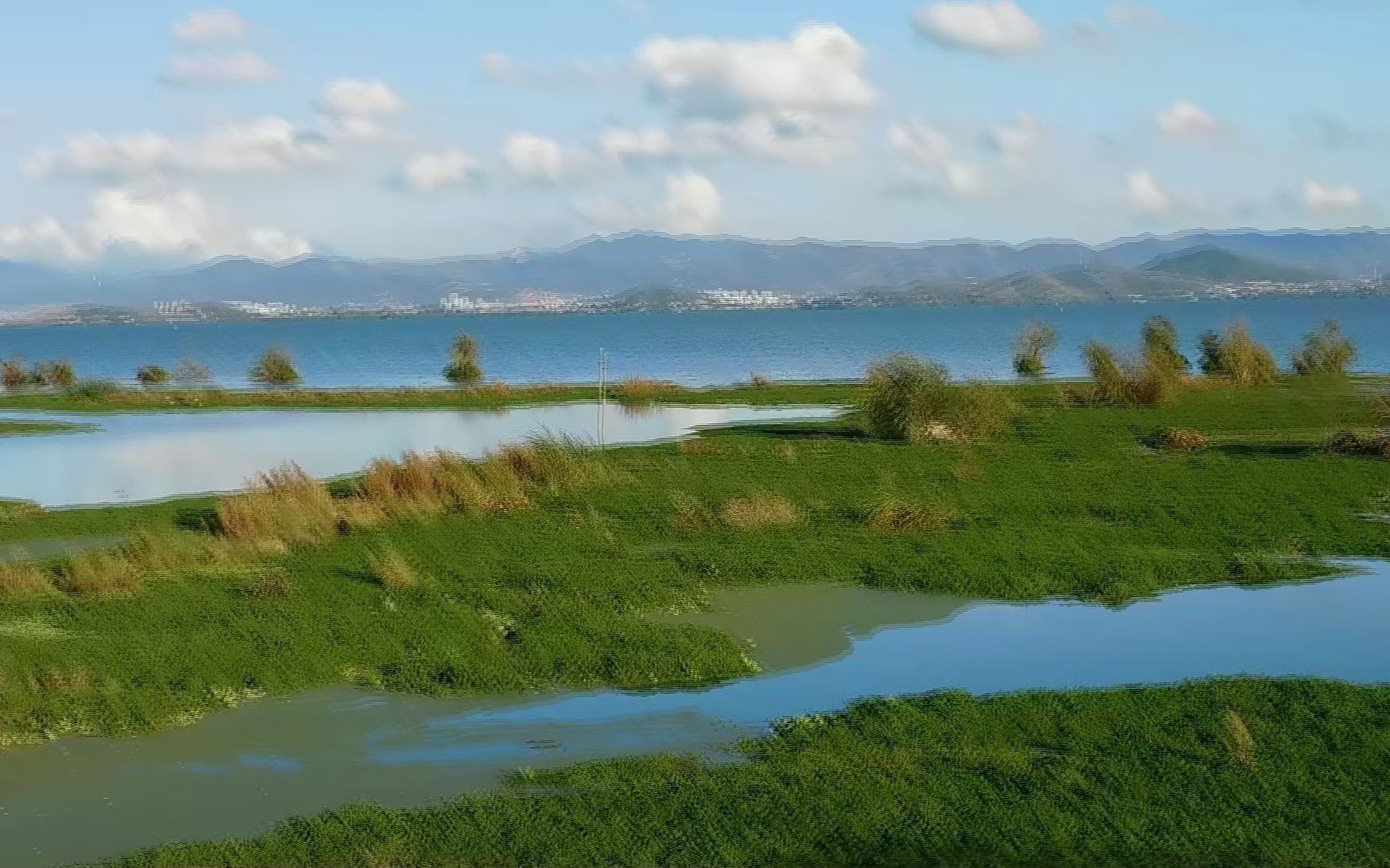 尼康b600长焦相机拍摄云南省昆明市晋宁区昆阳大河尾村边的滇池湿地