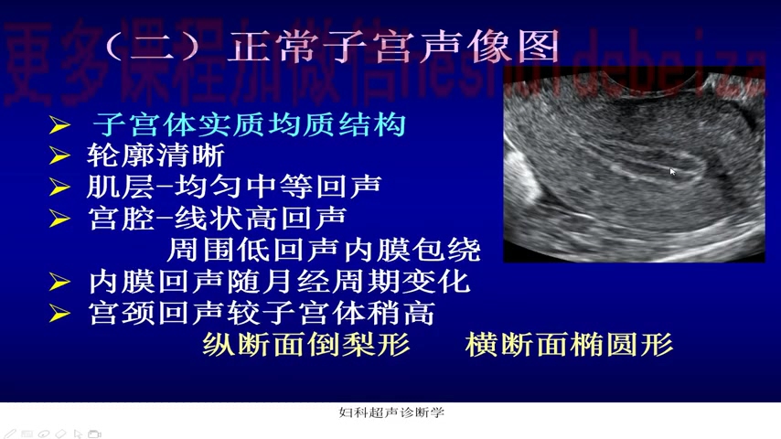 [图]妇科学习视频1