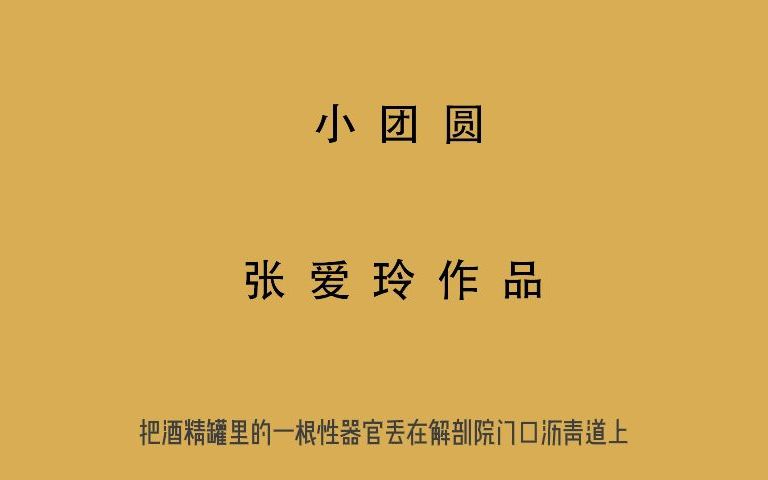 小团圆 张爱玲 有声书 全文朗读 视频字幕版2哔哩哔哩bilibili