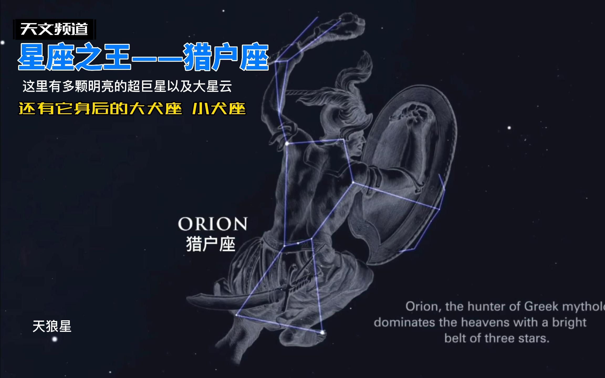 带你认识夜空中的猎户座、大犬座、小犬座及它们中代表性的恒星哔哩哔哩bilibili